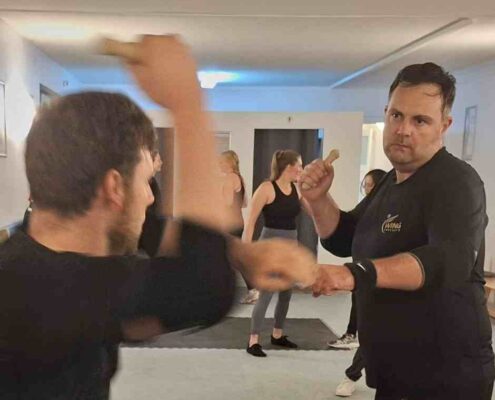 Weapons - Training | Stockkampf - Waffenkampf - Sicherheit - Selbstverteidigung